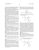 NOVEL [F-18]-LABELLED L-GLUTAMIC ACID AND L-GLUTAMINE DERIVATIVES (I), THEIR USE AND PROCESSES FOR THEIR PREPARATION diagram and image