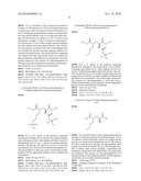 NOVEL [F-18]-LABELLED L-GLUTAMIC ACID AND L-GLUTAMINE DERIVATIVES (I), THEIR USE AND PROCESSES FOR THEIR PREPARATION diagram and image