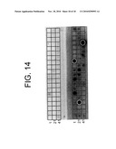 Antibodies to IL-6 and use thereof diagram and image