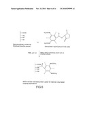 RADIO-OPAQUE COMPOUNDS, COMPOSITIONS CONTAINING SAME AND METHODS OF THEIR SYNTHESIS AND USE diagram and image