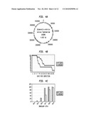 METHODS AND COMPOSITIONS BASED ON CULTURING MICROORGANISMS IN LOW SEDIMENTAL FLUID SHEAR CONDITIONS diagram and image