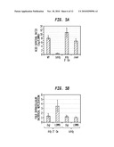 METHODS AND COMPOSITIONS BASED ON CULTURING MICROORGANISMS IN LOW SEDIMENTAL FLUID SHEAR CONDITIONS diagram and image