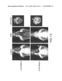 Imaging Agents and Methods diagram and image