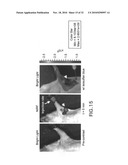 Imaging Agents and Methods diagram and image