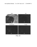 Imaging Agents and Methods diagram and image