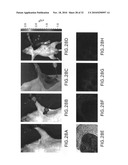 Imaging Agents and Methods diagram and image