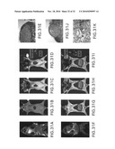 Imaging Agents and Methods diagram and image