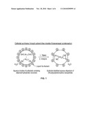 NANOPARTICLES OF LIGHT EMISSIVE POLYMERS AND PREPARATION METHOD THEREOF diagram and image