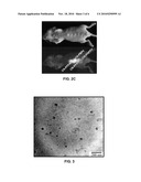 NANOPARTICLES OF LIGHT EMISSIVE POLYMERS AND PREPARATION METHOD THEREOF diagram and image