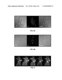 NANOPARTICLES OF LIGHT EMISSIVE POLYMERS AND PREPARATION METHOD THEREOF diagram and image
