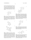 NOVEL COMPOUNDS AS DIPEPTIDYL PEPTIDASE IV (DPP IV) INHIBITORS diagram and image