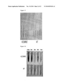 METHODS AND COMPOSITIONS FOR THE TREATMENT OF PROLIFERATIVE AND PATHOGENIC DISEASES diagram and image