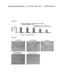 METHODS AND COMPOSITIONS FOR THE TREATMENT OF PROLIFERATIVE AND PATHOGENIC DISEASES diagram and image