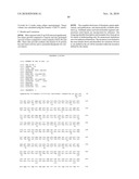 USE OF IL-28 AND IL-29 TO TREAT CANCER AND AUTOIMMUNE DISORDERS diagram and image