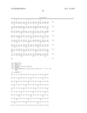 USE OF IL-28 AND IL-29 TO TREAT CANCER AND AUTOIMMUNE DISORDERS diagram and image