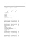 USE OF IL-28 AND IL-29 TO TREAT CANCER AND AUTOIMMUNE DISORDERS diagram and image