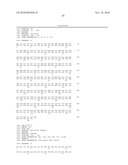 USE OF IL-28 AND IL-29 TO TREAT CANCER AND AUTOIMMUNE DISORDERS diagram and image