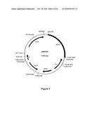 Albumin Fusion Proteins diagram and image