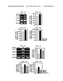 COMPOSITIONS AND METHODS FOR MODULATING VASCULAR ENDOTHELIAL GROWTH FACTOR C (VEGF-C) EXPRESSION diagram and image