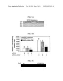 COMPOSITIONS AND METHODS FOR MODULATING VASCULAR ENDOTHELIAL GROWTH FACTOR C (VEGF-C) EXPRESSION diagram and image