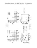 IMMUNOGENICITY USING A COMBINATION OF DNA AND VACCINIA VIRUS VECTOR VACCINES diagram and image