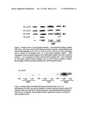 Lunasin-induced regulation of disease-related gene expression diagram and image