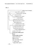 Novel Microorganism Having Gastric-Juice Promoting Activity, and Its Secretory Product diagram and image