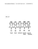 Novel Microorganism Having Gastric-Juice Promoting Activity, and Its Secretory Product diagram and image