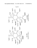 PHARMACEUTICAL COMPOSITION FOR ENZYME REPLACEMENT THERAPY diagram and image