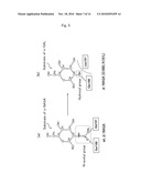 PHARMACEUTICAL COMPOSITION FOR ENZYME REPLACEMENT THERAPY diagram and image