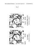 PHARMACEUTICAL COMPOSITION FOR ENZYME REPLACEMENT THERAPY diagram and image