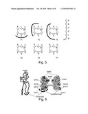 PROTEASE INHIBITION diagram and image