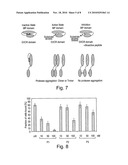 PROTEASE INHIBITION diagram and image