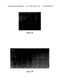 Compositions for Protein Delivery and Methods of Use Thereof diagram and image