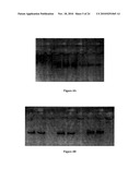 Compositions for Protein Delivery and Methods of Use Thereof diagram and image