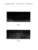 Compositions for Protein Delivery and Methods of Use Thereof diagram and image