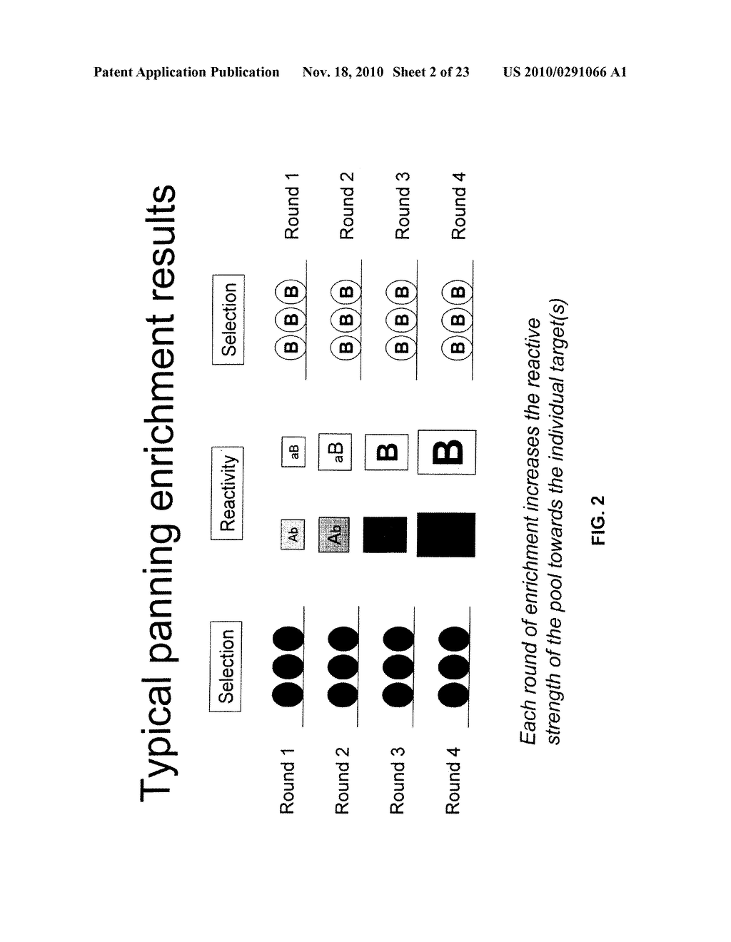 DONOR SPECIFIC ANTIBODY LIBRARIES - diagram, schematic, and image 03