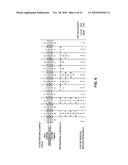 DONOR SPECIFIC ANTIBODY LIBRARIES diagram and image