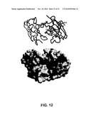 DONOR SPECIFIC ANTIBODY LIBRARIES diagram and image