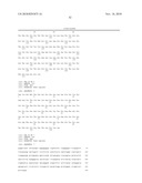 Granulocyte-Macrophage Colony-Stimulating Factor (GM-CSF) Neutralizing Antibodies diagram and image