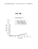 ANTIBODIES SPECIFIC FOR DKK-1 AND THEIR USES diagram and image