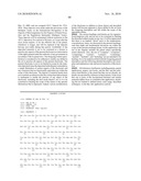 ANTIBODIES SPECIFIC FOR DKK-1 AND THEIR USES diagram and image