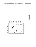 Heterodimeric Follicle Stimulating Hormone-Fc (FSH-Fc) Fusion Proteins for the Treatment of Infertility diagram and image