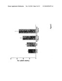 Heterodimeric Follicle Stimulating Hormone-Fc (FSH-Fc) Fusion Proteins for the Treatment of Infertility diagram and image