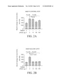 RAGE FUSION PROTEINS diagram and image