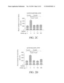 RAGE FUSION PROTEINS diagram and image