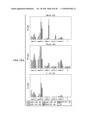 ANTIGEN PRESENTING CELL TARGETED ANTI-VIRAL VACCINES diagram and image