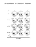 ANTIGEN PRESENTING CELL TARGETED ANTI-VIRAL VACCINES diagram and image