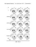 ANTIGEN PRESENTING CELL TARGETED ANTI-VIRAL VACCINES diagram and image