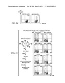 ANTIGEN PRESENTING CELL TARGETED ANTI-VIRAL VACCINES diagram and image